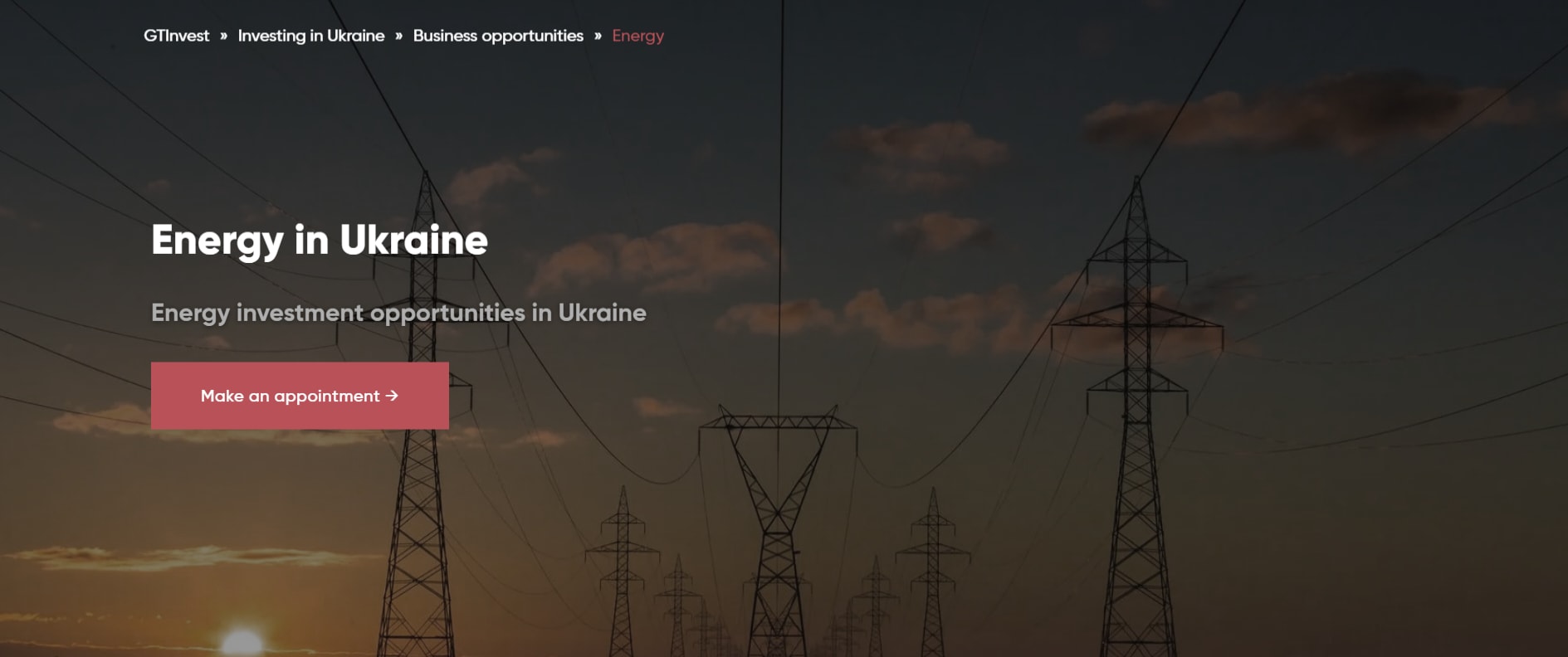 Energy opportunities | Investment opportunities in Ukraine's energy sector are promising. For investors, find out more about Ukraine's renewable energy sources